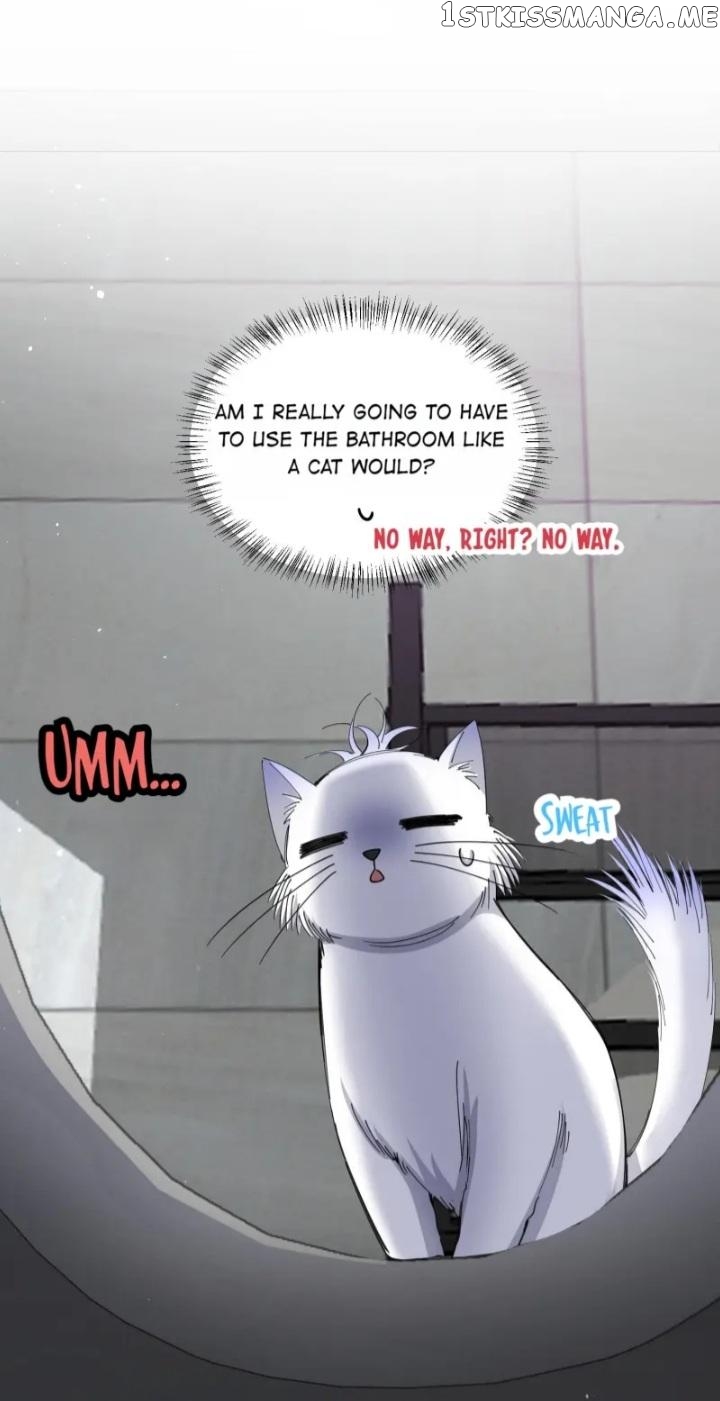 I Have To Work Hard As A Cat Today Chapter 7 - page 7
