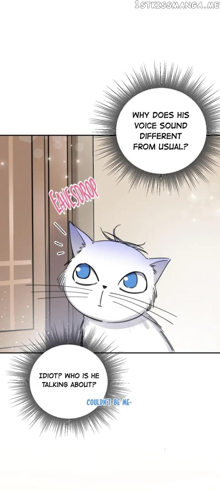 I Have To Work Hard As A Cat Today Chapter 6 - page 4