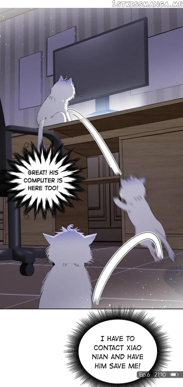 I Have To Work Hard As A Cat Today Chapter 6 - page 9