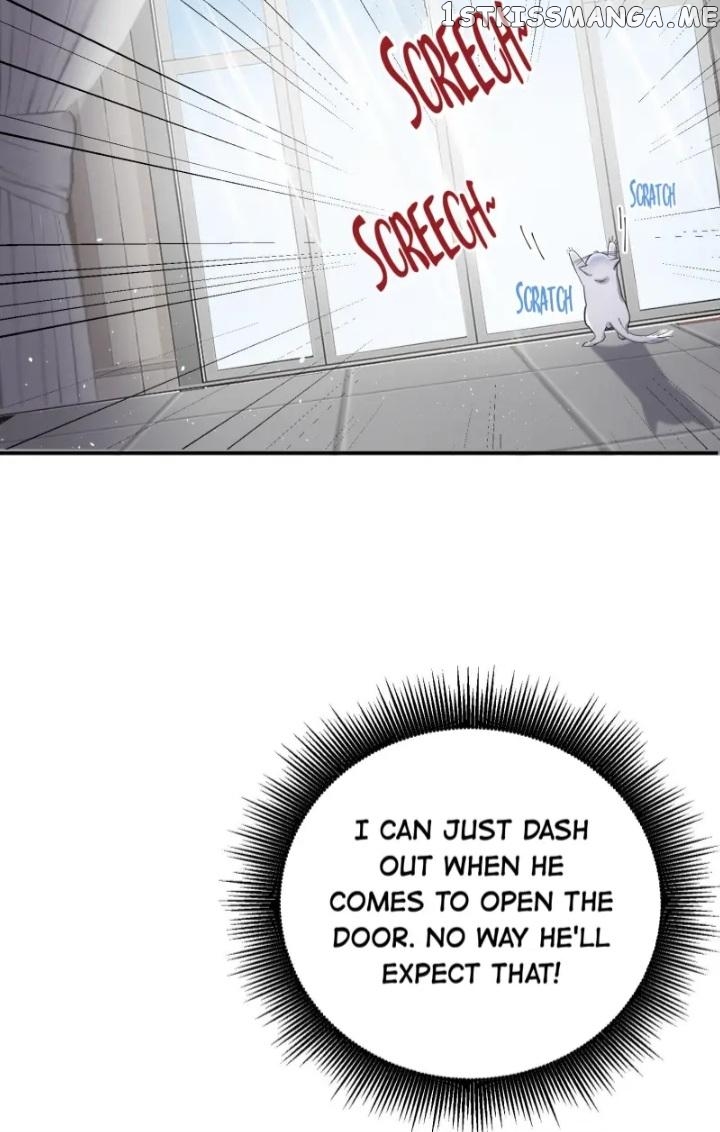 I Have To Work Hard As A Cat Today Chapter 5 - page 15