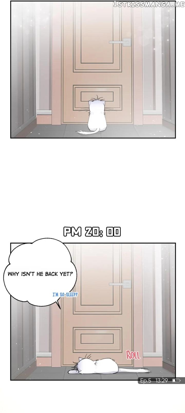 I Have To Work Hard As A Cat Today Chapter 5 - page 18