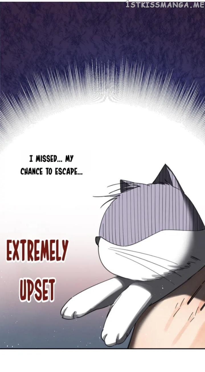 I Have To Work Hard As A Cat Today Chapter 5 - page 25