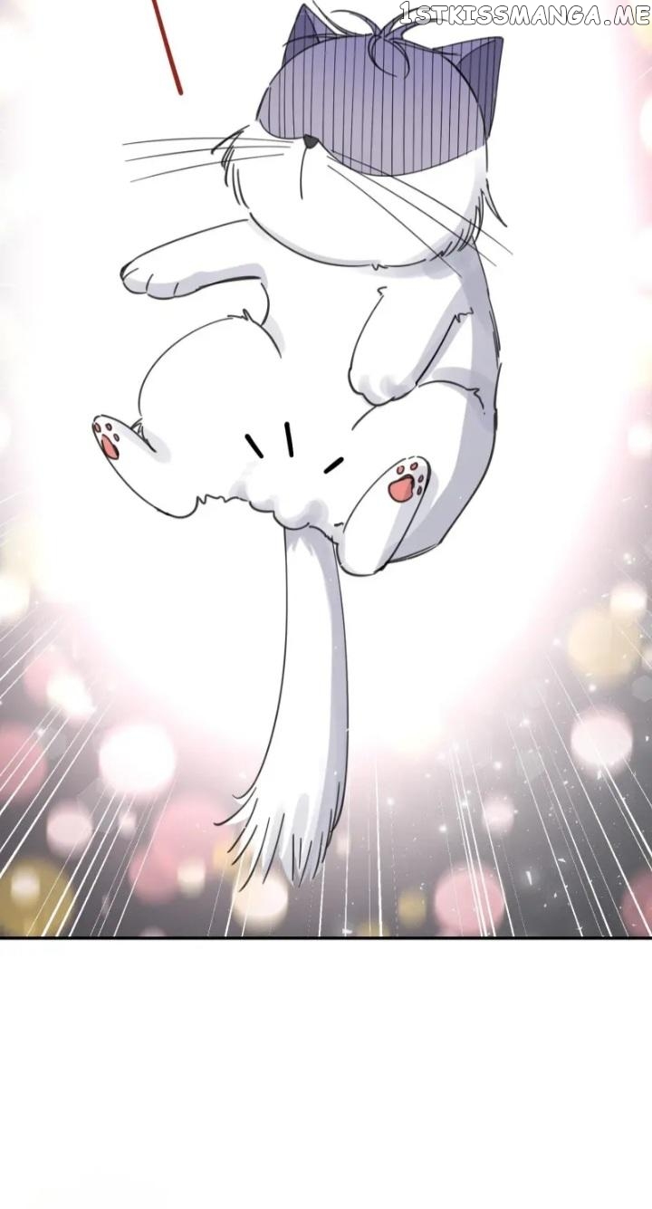 I Have To Work Hard As A Cat Today Chapter 5 - page 28