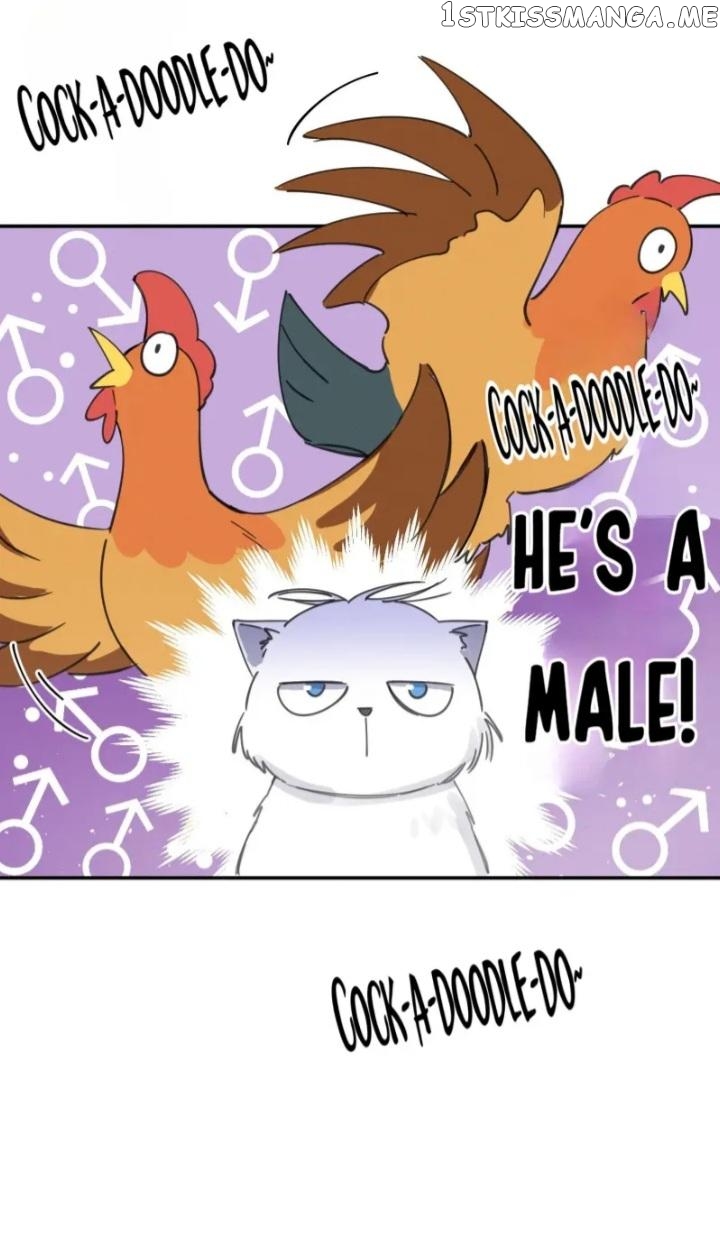 I Have To Work Hard As A Cat Today Chapter 5 - page 29