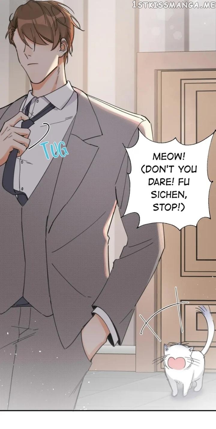 I Have To Work Hard As A Cat Today Chapter 5 - page 33