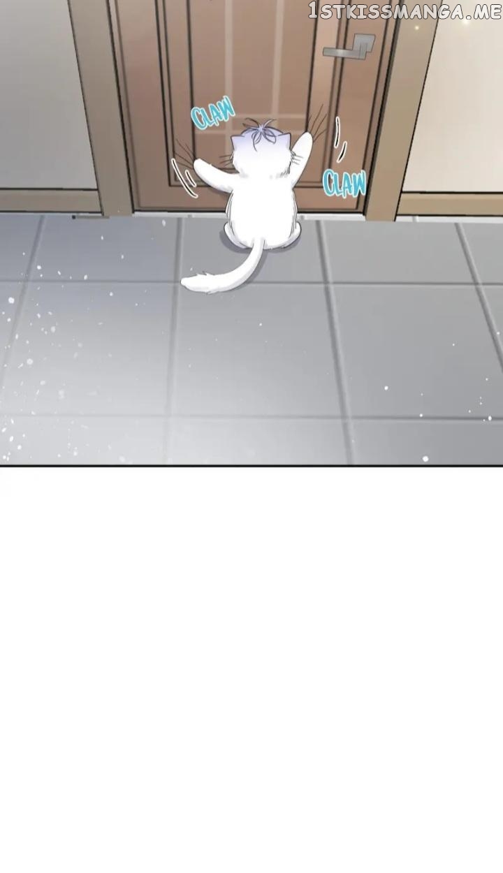 I Have To Work Hard As A Cat Today Chapter 5 - page 35
