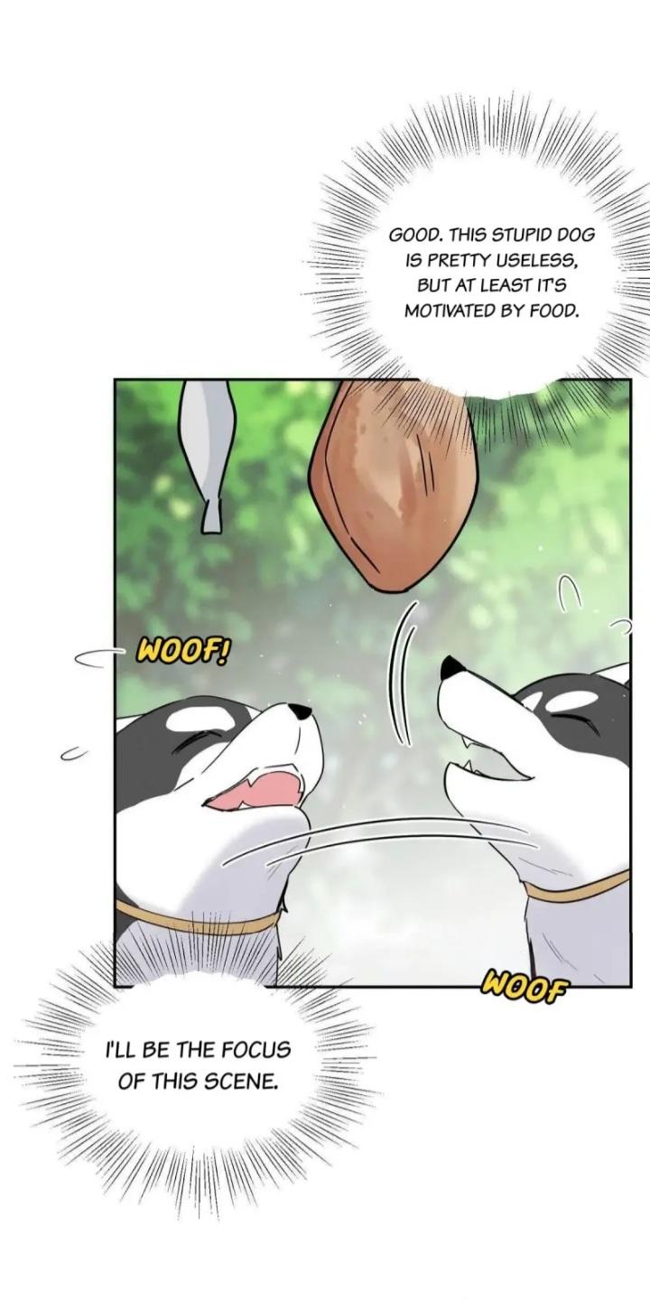 I Have To Work Hard As A Cat Today Chapter 41 - page 25