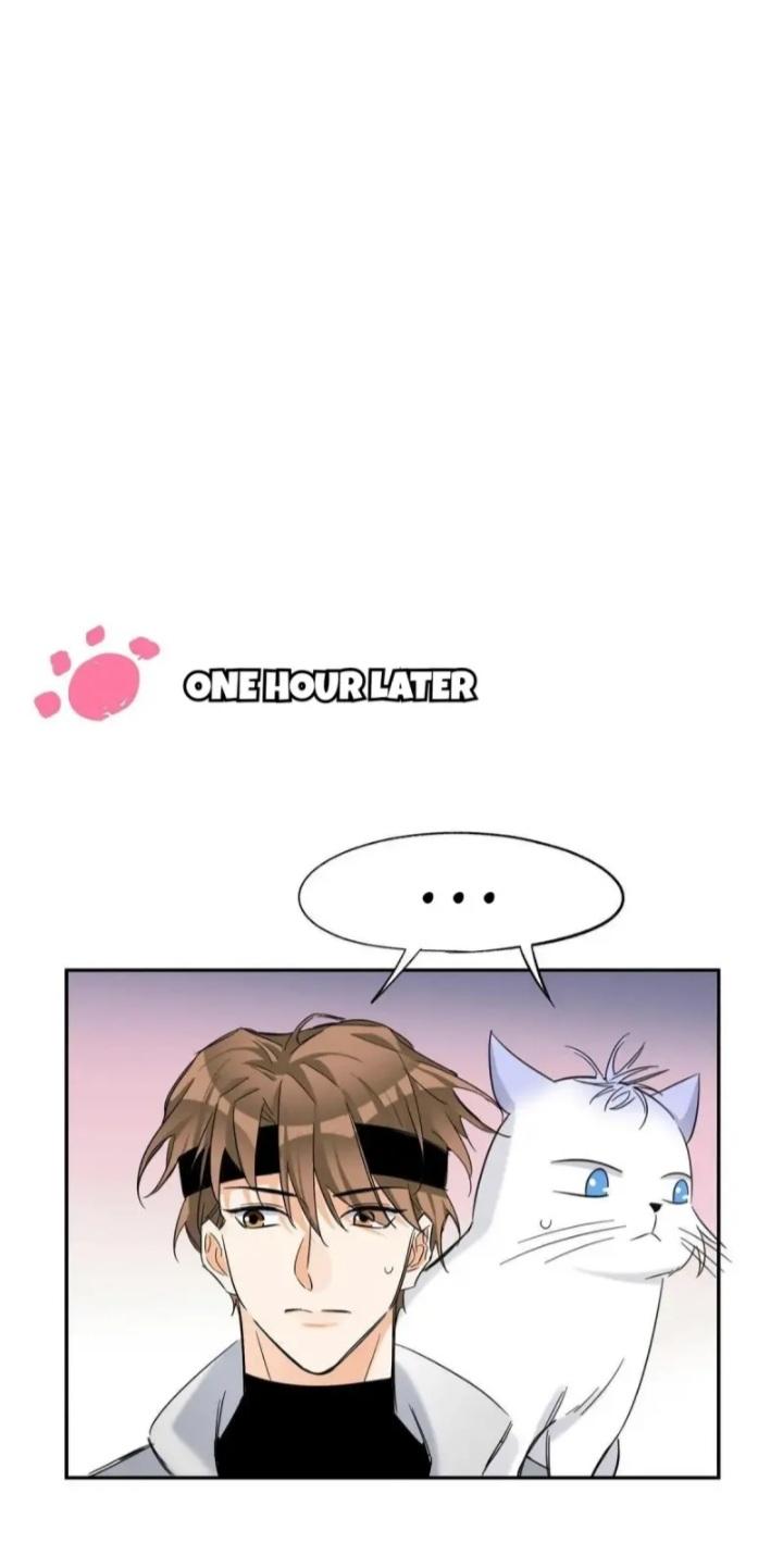 I Have To Work Hard As A Cat Today Chapter 42 - page 10