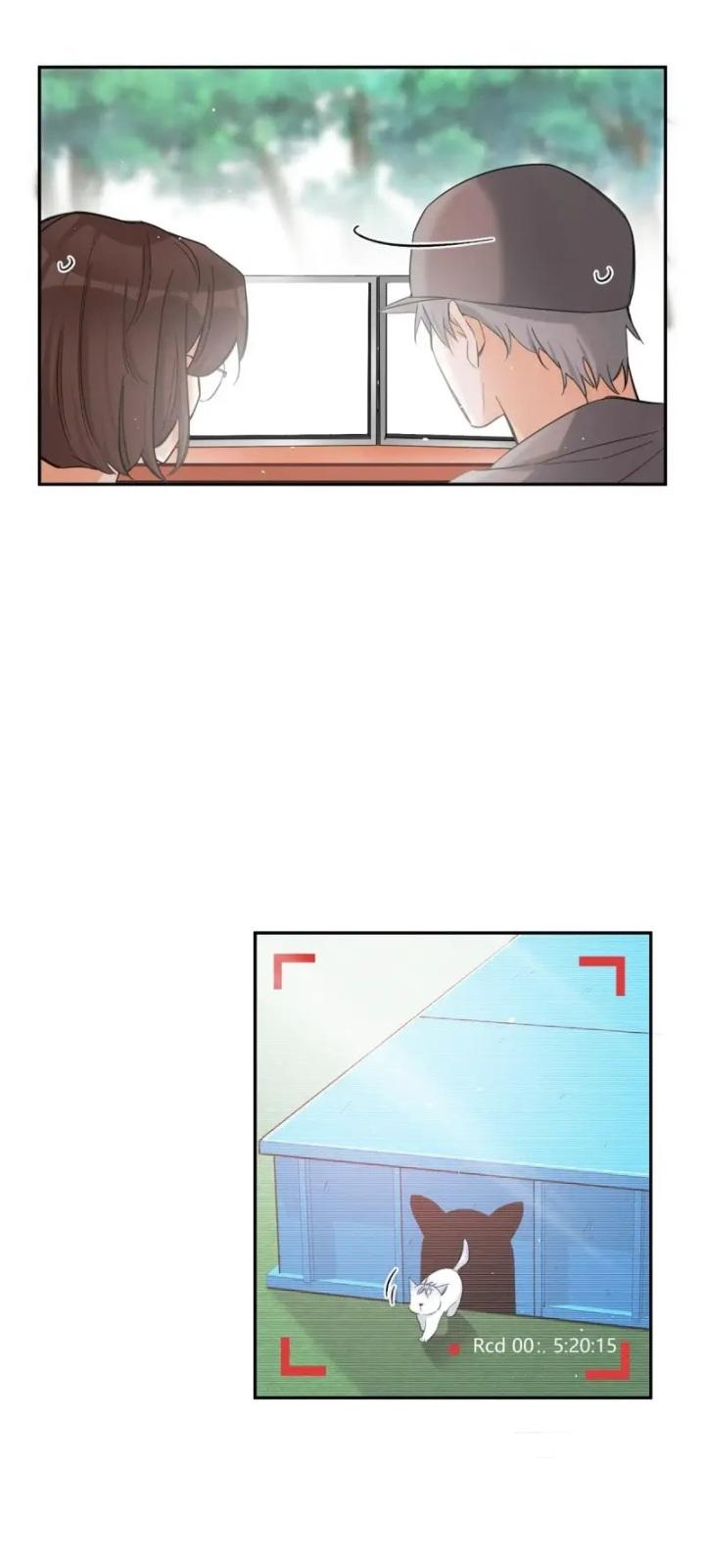 I Have To Work Hard As A Cat Today Chapter 42 - page 22