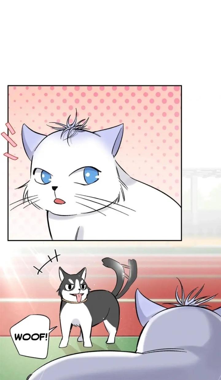 I Have To Work Hard As A Cat Today Chapter 42 - page 23
