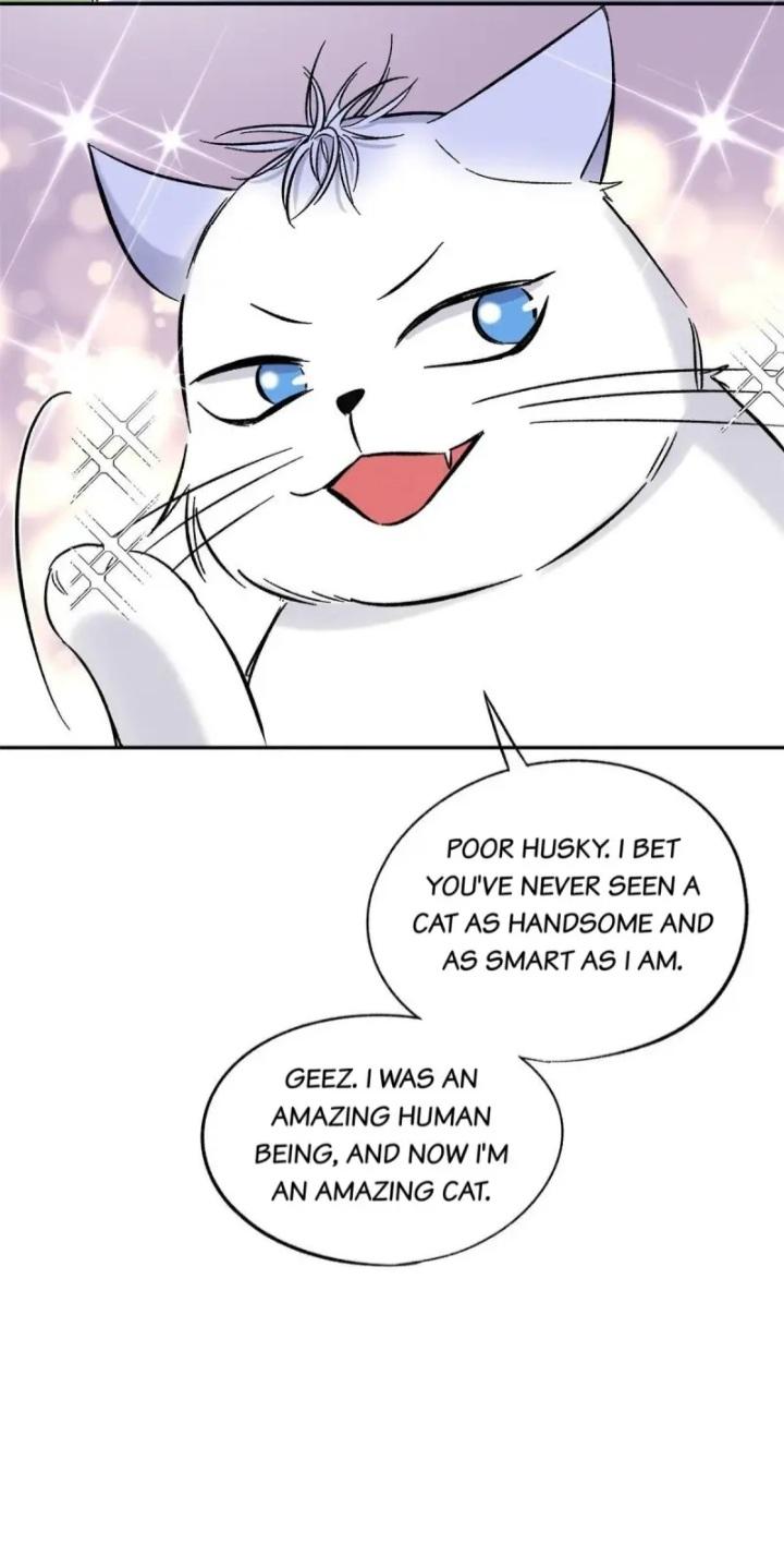 I Have To Work Hard As A Cat Today Chapter 42 - page 24