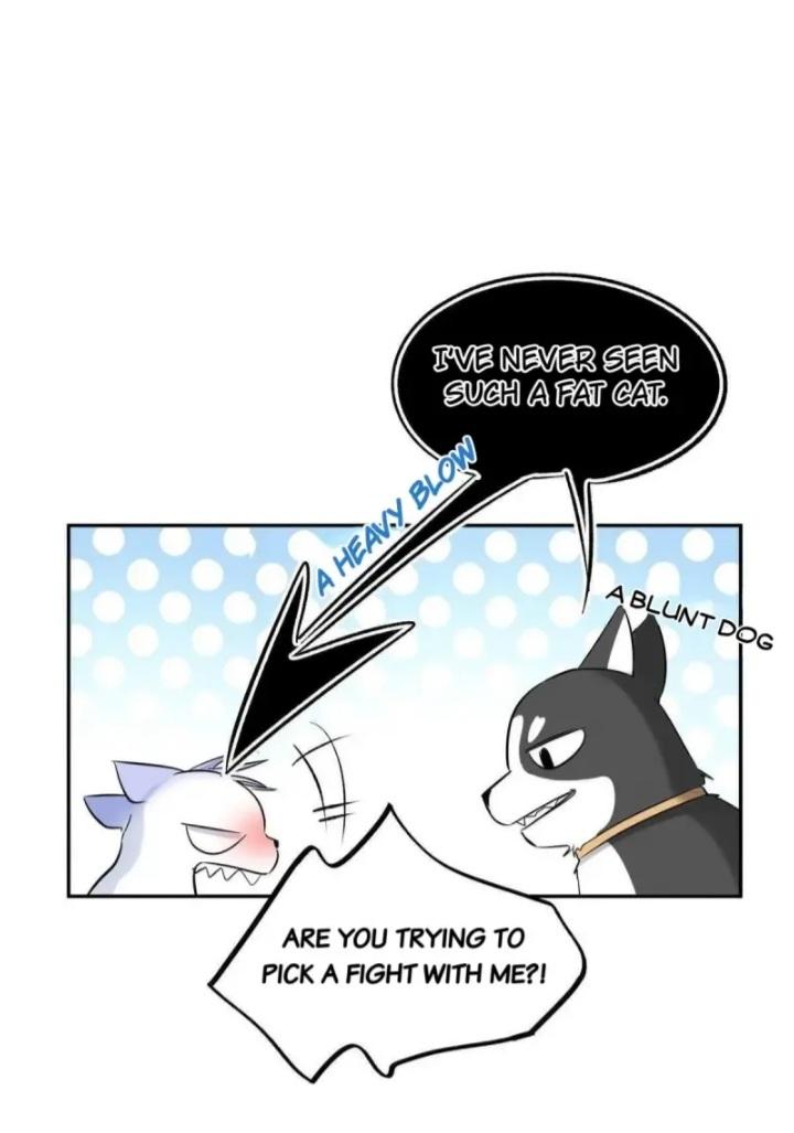 I Have To Work Hard As A Cat Today Chapter 42 - page 25