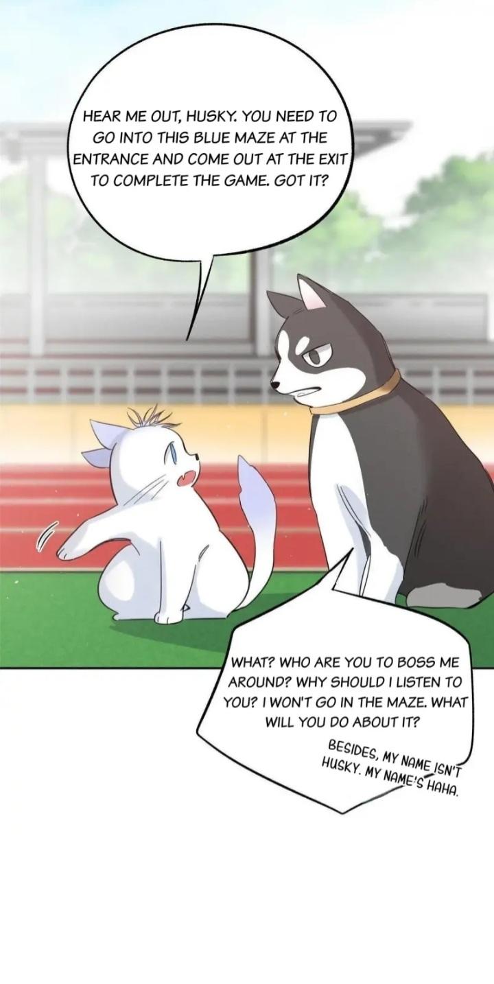 I Have To Work Hard As A Cat Today Chapter 42 - page 27