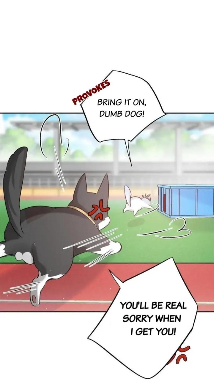 I Have To Work Hard As A Cat Today Chapter 42 - page 30