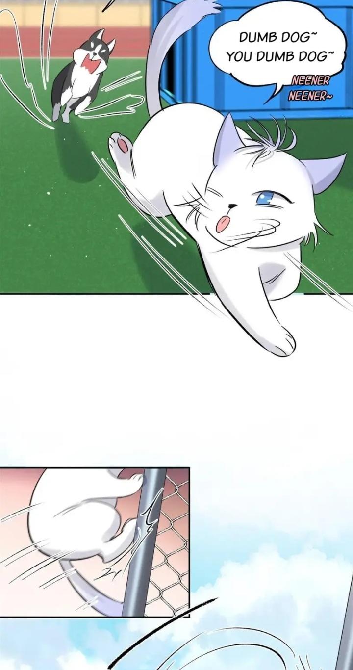 I Have To Work Hard As A Cat Today Chapter 42 - page 33
