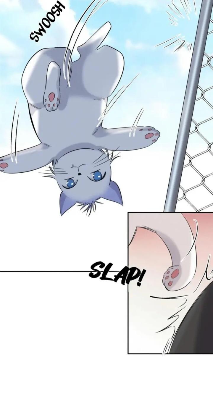 I Have To Work Hard As A Cat Today Chapter 42 - page 34