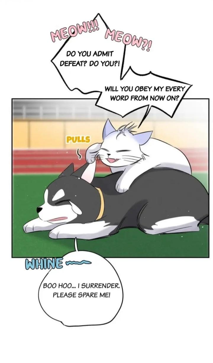 I Have To Work Hard As A Cat Today Chapter 42 - page 36