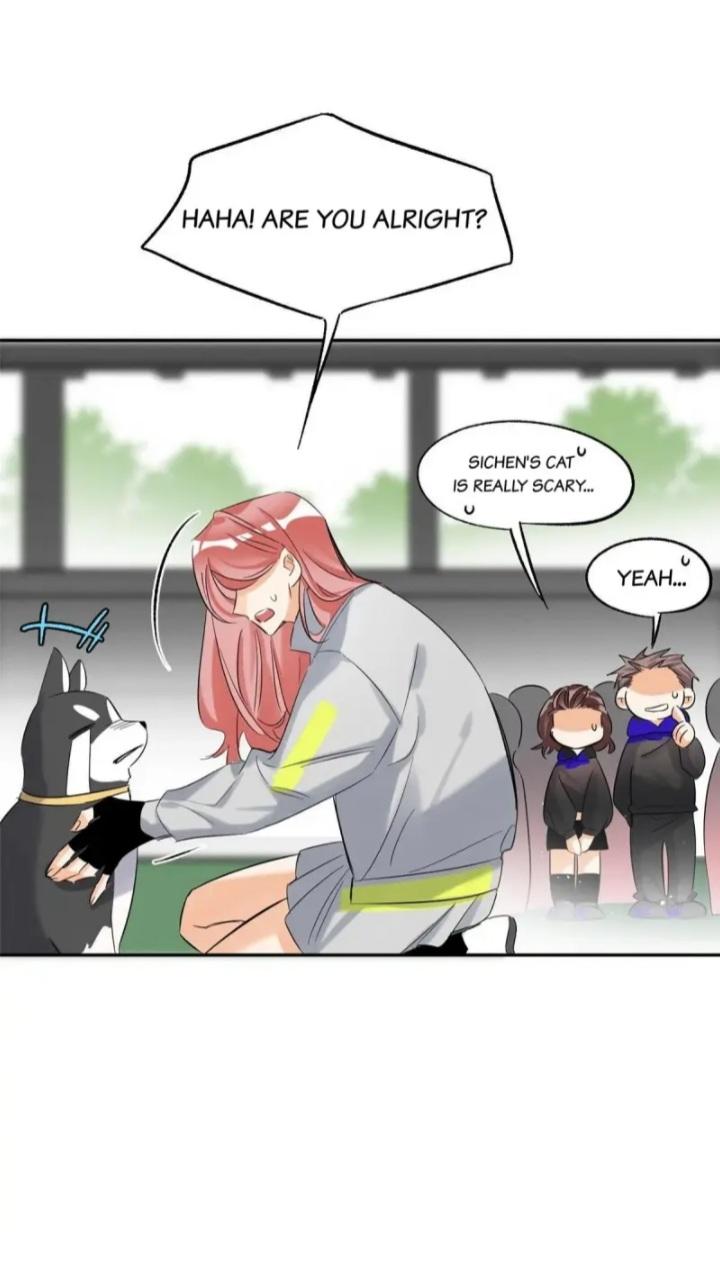 I Have To Work Hard As A Cat Today Chapter 42 - page 37