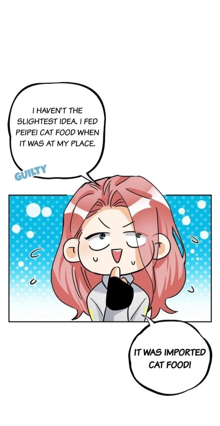 I Have To Work Hard As A Cat Today Chapter 42 - page 4
