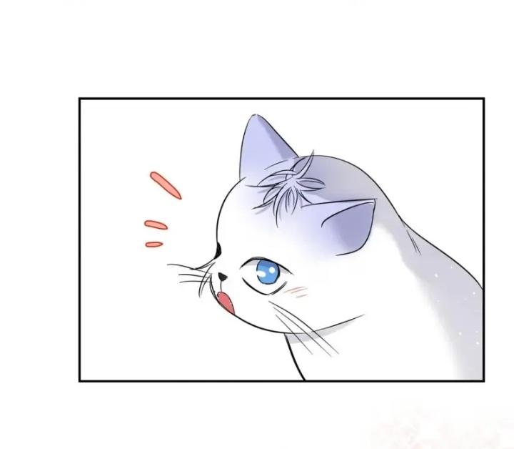 I Have To Work Hard As A Cat Today Chapter 42 - page 42