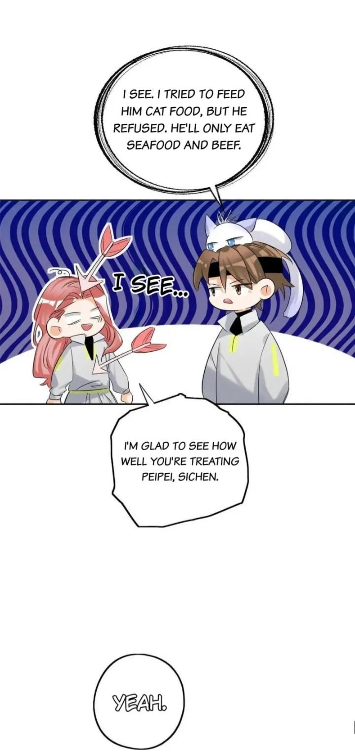 I Have To Work Hard As A Cat Today Chapter 42 - page 5
