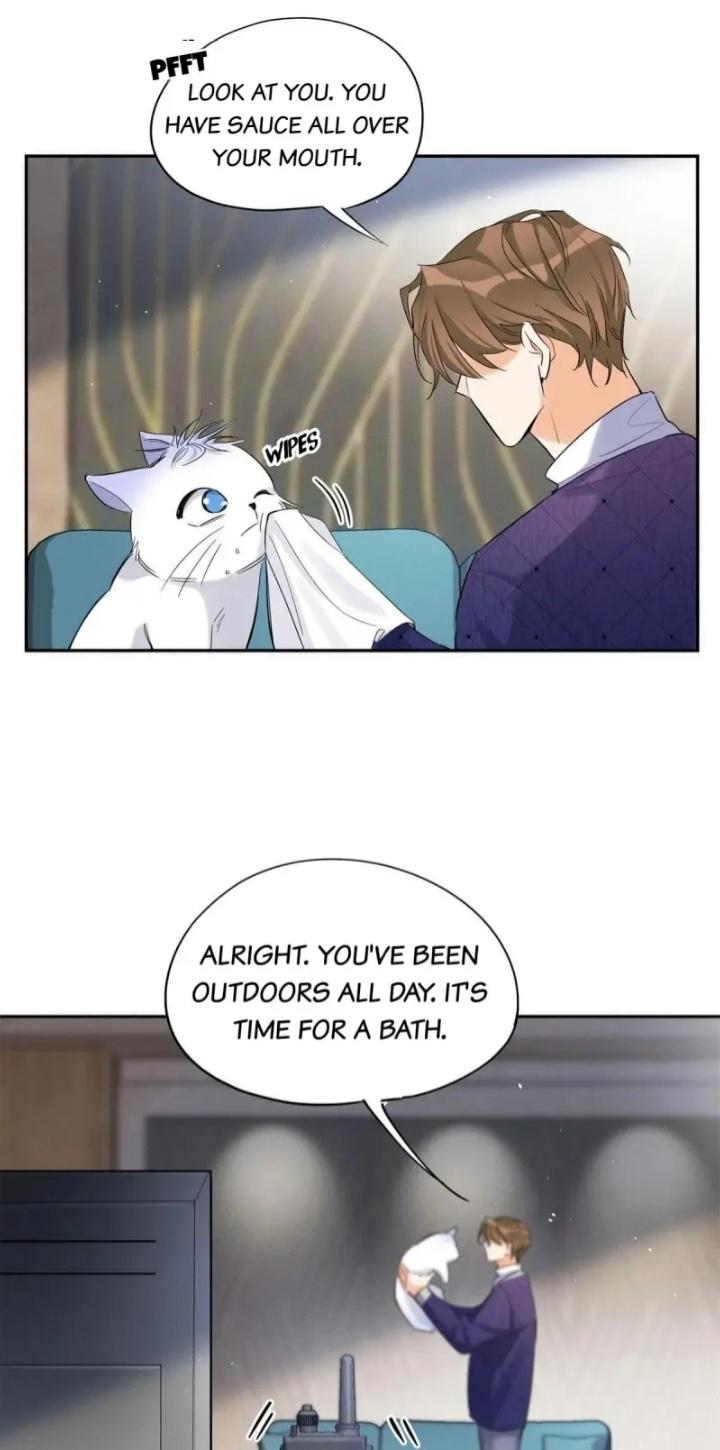 I Have To Work Hard As A Cat Today Chapter 43 - page 11
