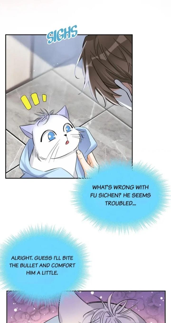 I Have To Work Hard As A Cat Today Chapter 43 - page 22