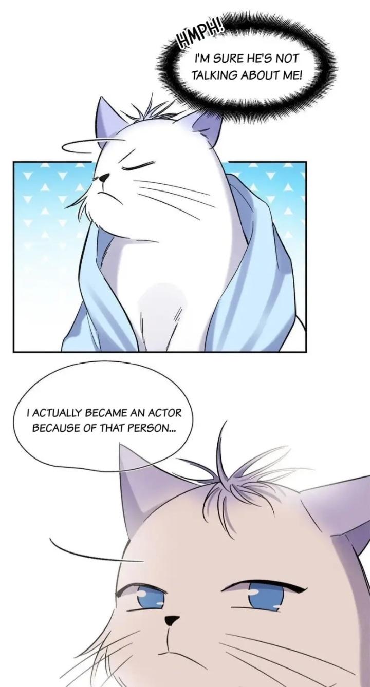 I Have To Work Hard As A Cat Today Chapter 43 - page 28
