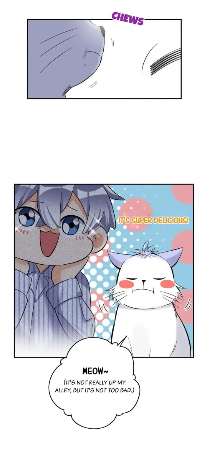 I Have To Work Hard As A Cat Today Chapter 43 - page 9