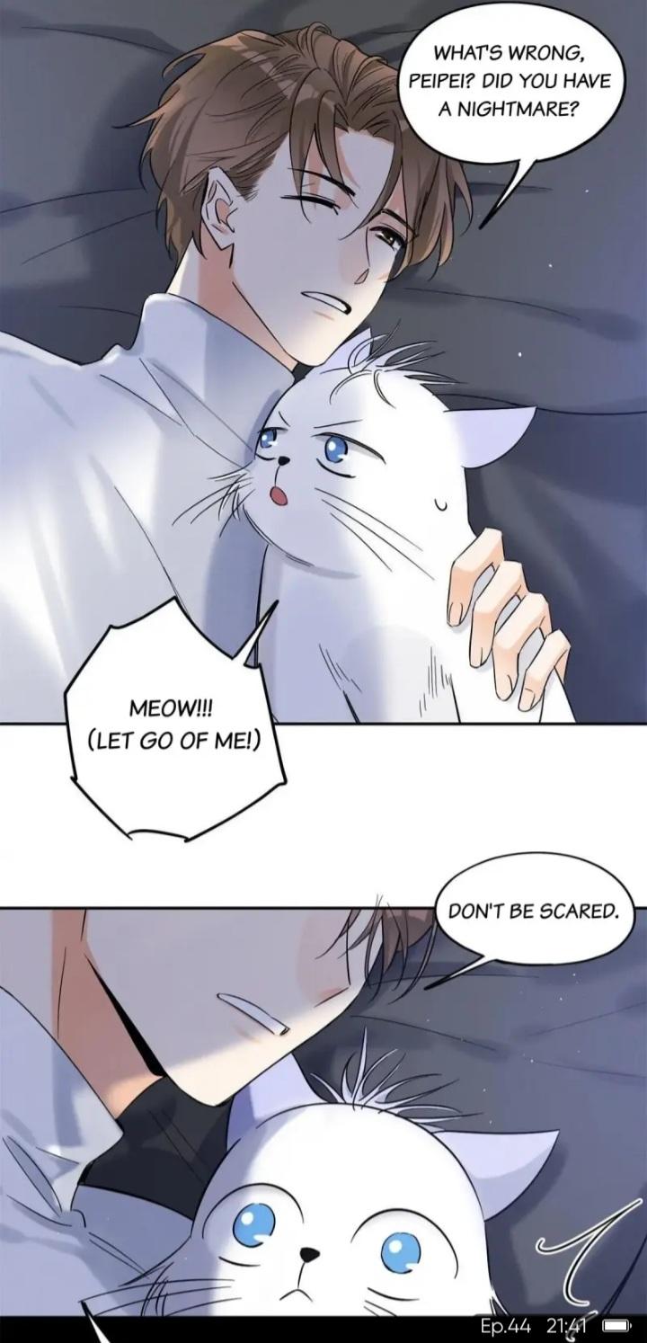 I Have To Work Hard As A Cat Today Chapter 44 - page 21