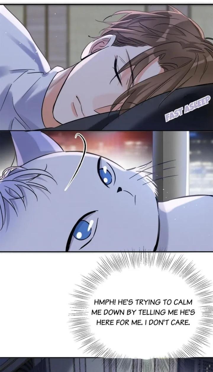 I Have To Work Hard As A Cat Today Chapter 44 - page 26