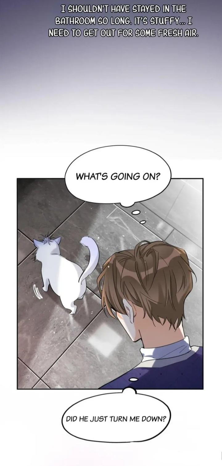 I Have To Work Hard As A Cat Today Chapter 44 - page 5