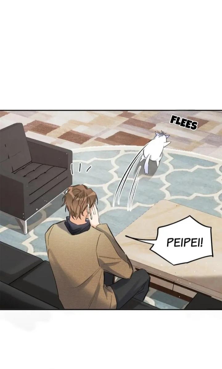 I Have To Work Hard As A Cat Today Chapter 46 - page 12