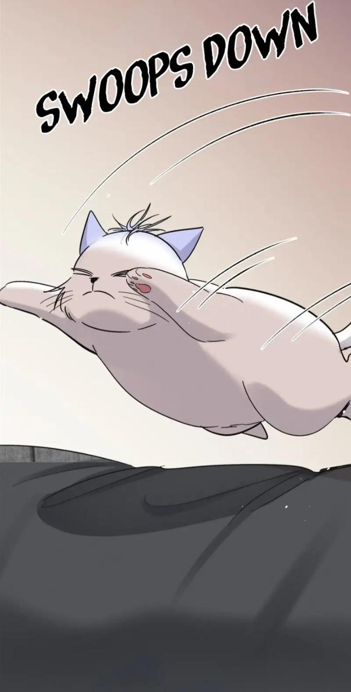 I Have To Work Hard As A Cat Today Chapter 46 - page 15