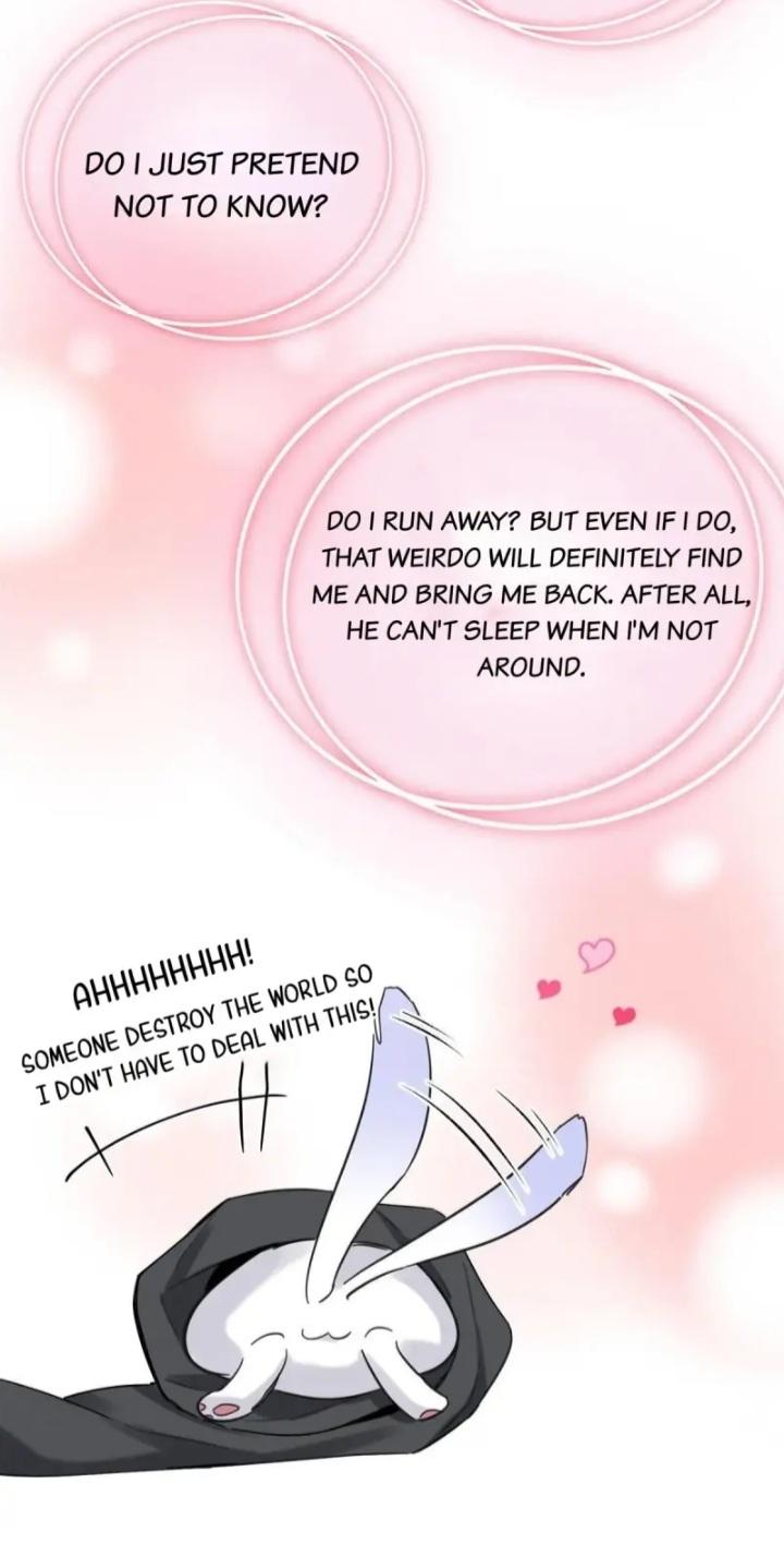 I Have To Work Hard As A Cat Today Chapter 46 - page 18