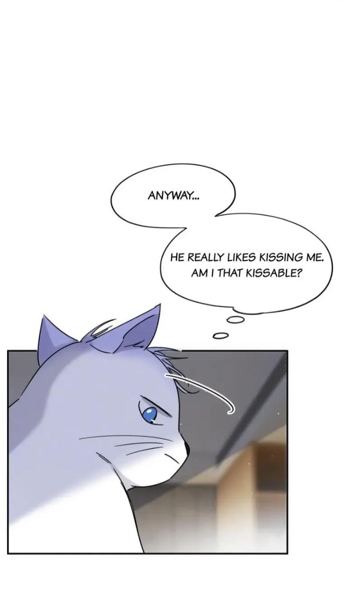 I Have To Work Hard As A Cat Today Chapter 46 - page 26