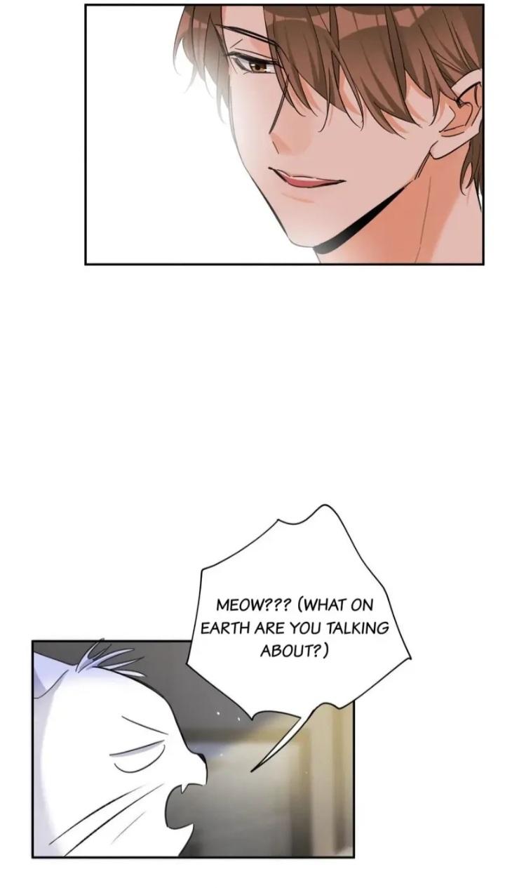I Have To Work Hard As A Cat Today Chapter 46 - page 32