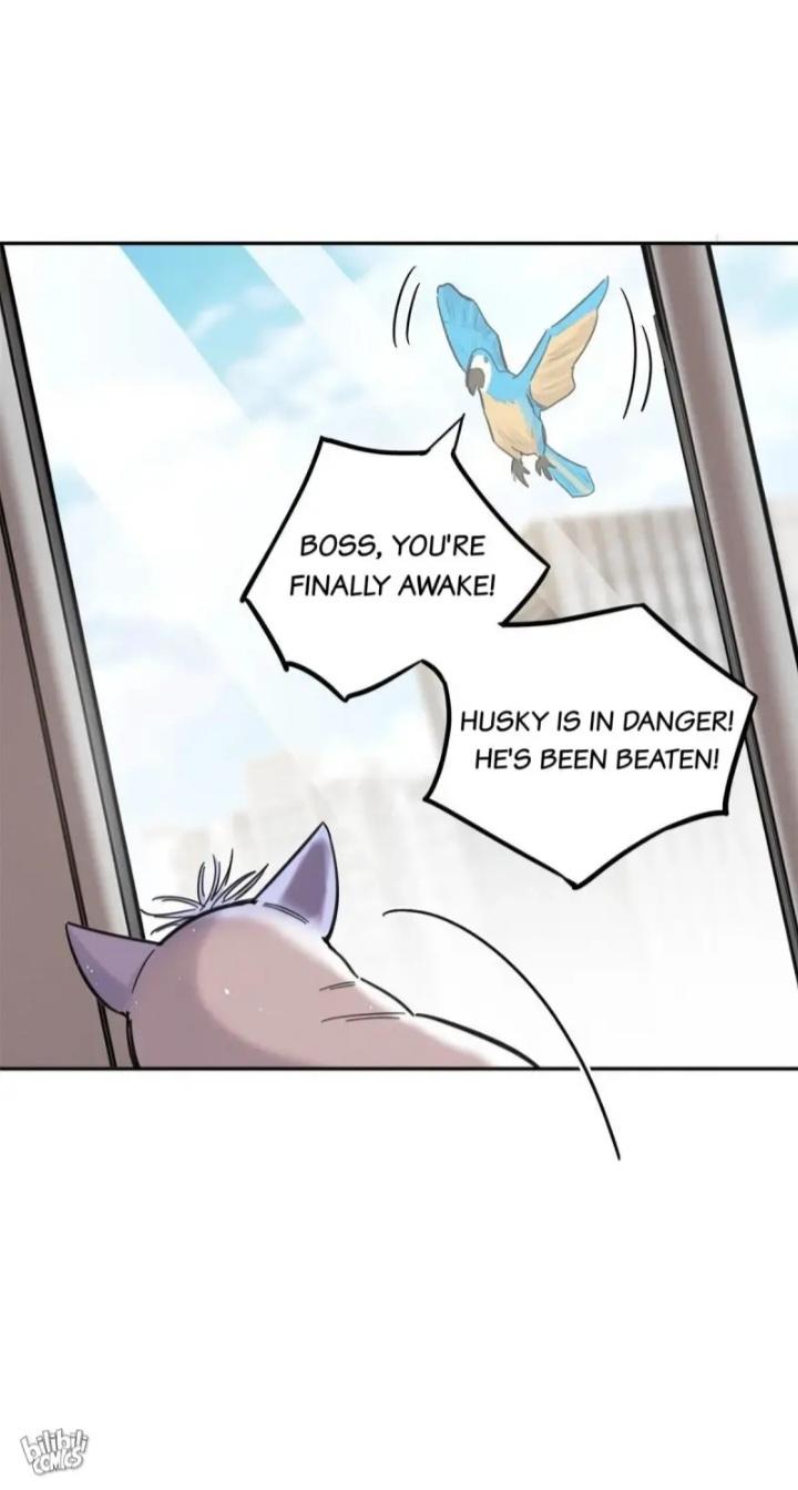 I Have To Work Hard As A Cat Today Chapter 46 - page 39