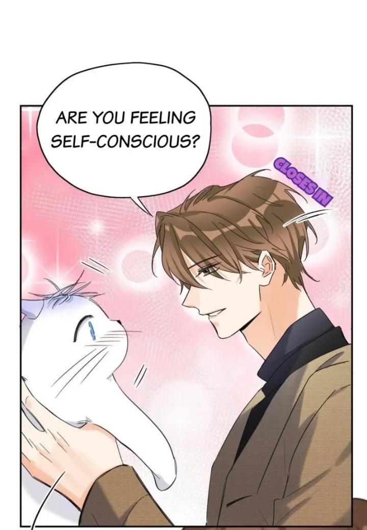 I Have To Work Hard As A Cat Today Chapter 46 - page 5