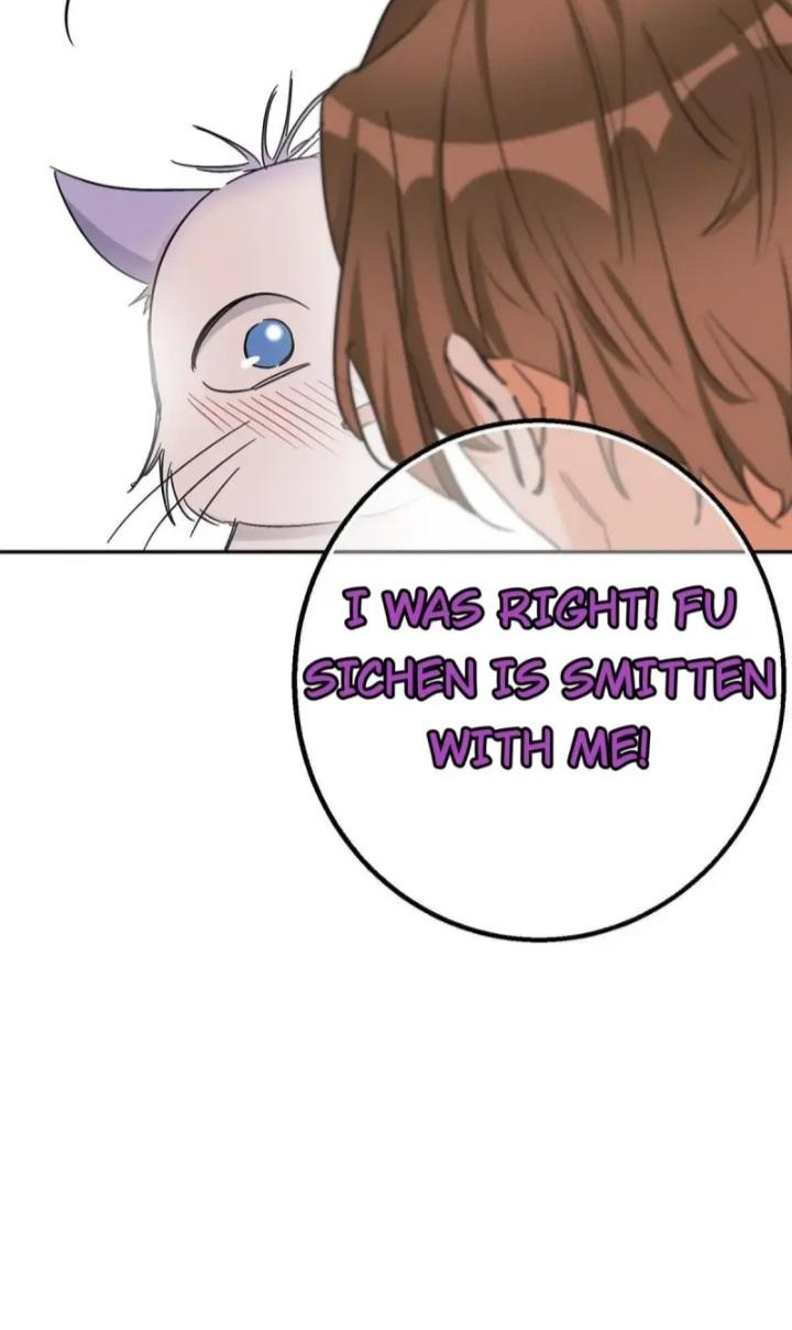 I Have To Work Hard As A Cat Today Chapter 46 - page 6