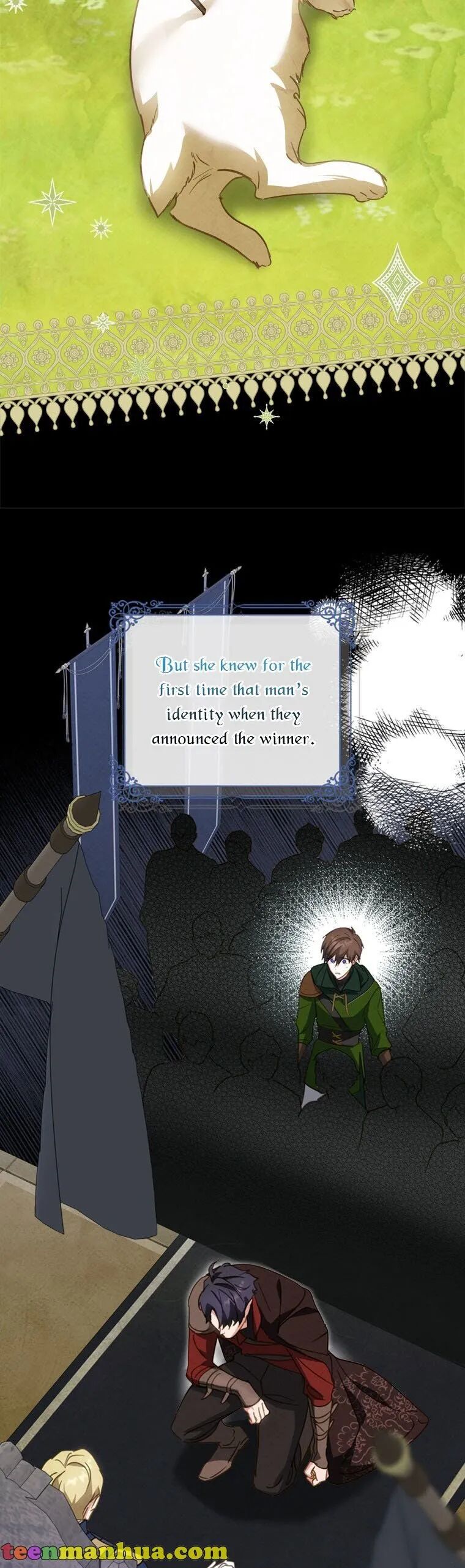 The Heroine Is a Man! Chapter 28 - page 5
