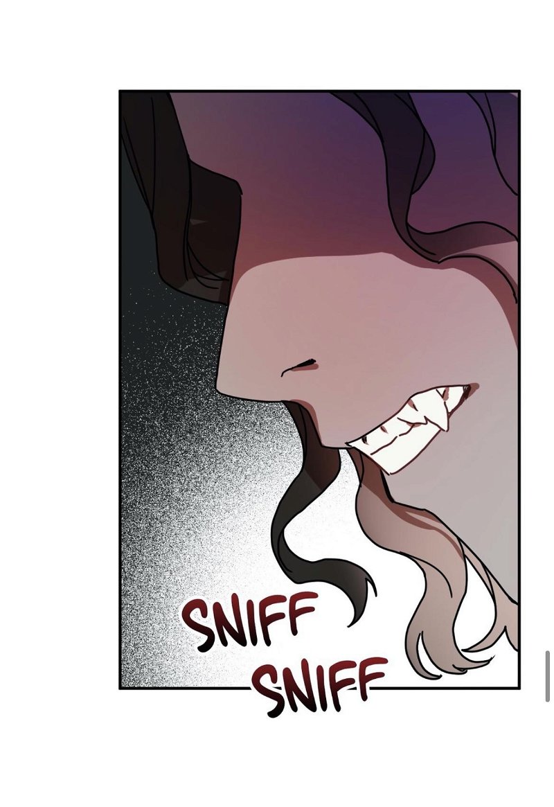 My Fiancée Is A Vampire Hunter! Chapter 21 - page 47