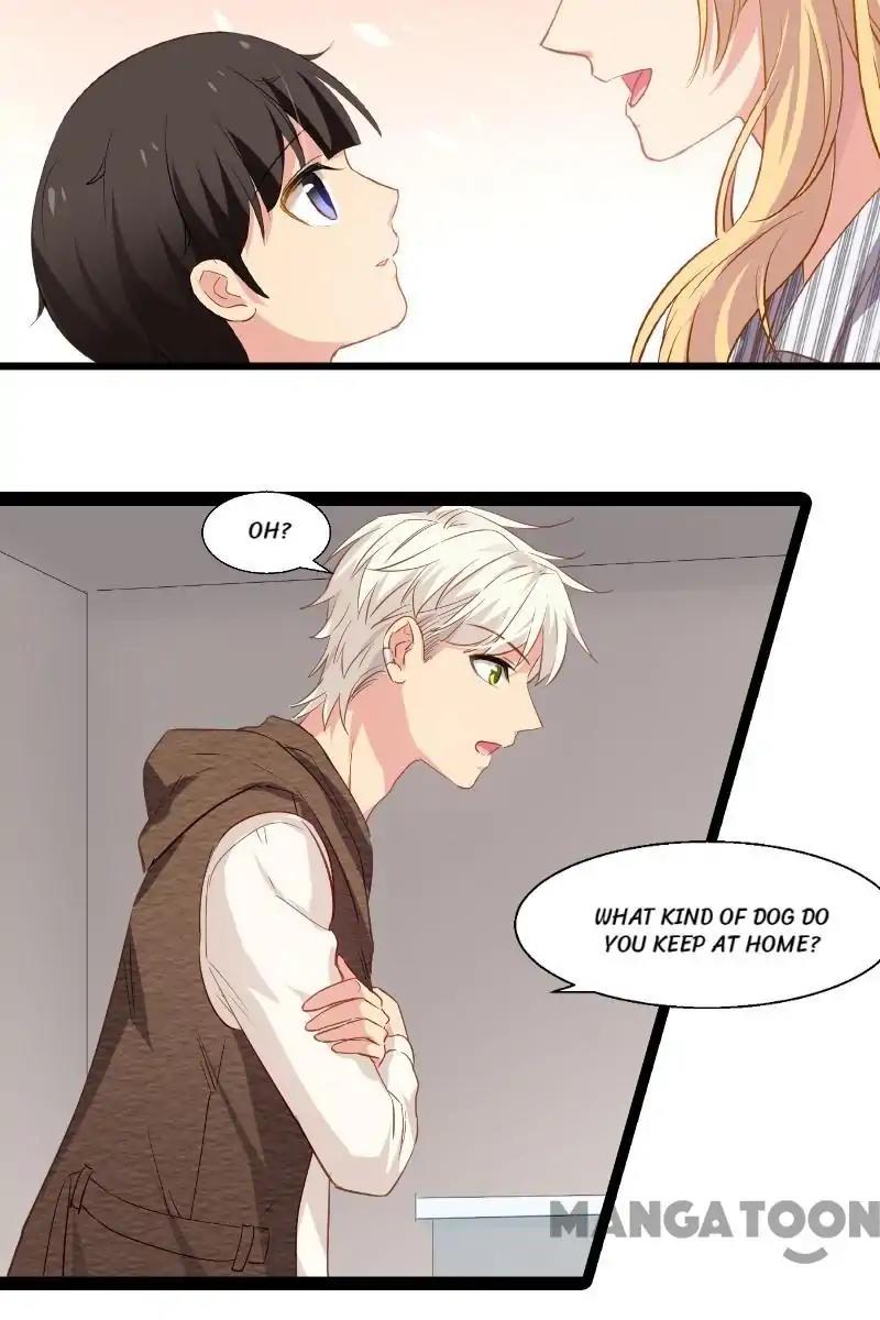 No Way, My Best Actress Wife Chapter 5 - page 17