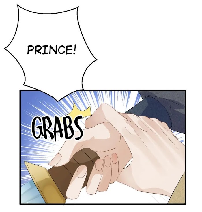 This Princess Consort Is a Man chapter 31 - page 24