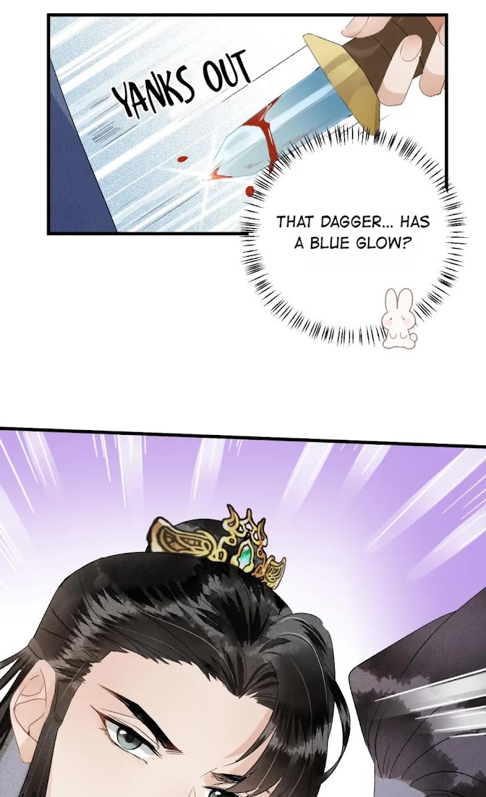 This Princess Consort Is a Man chapter 31 - page 25