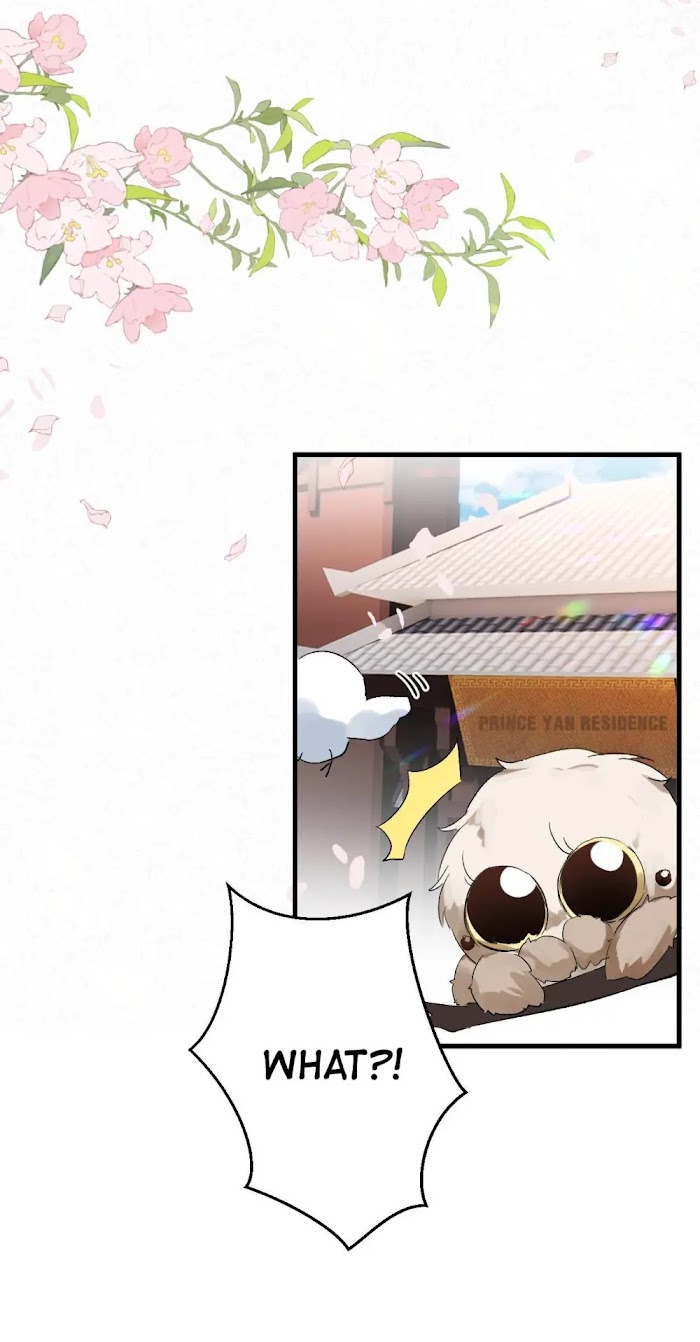This Princess Consort Is a Man chapter 31 - page 30