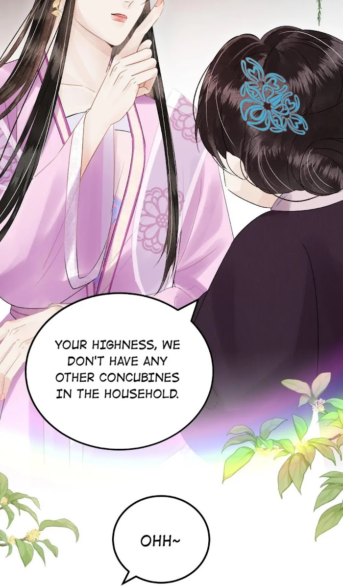 This Princess Consort Is a Man chapter 23 - page 17