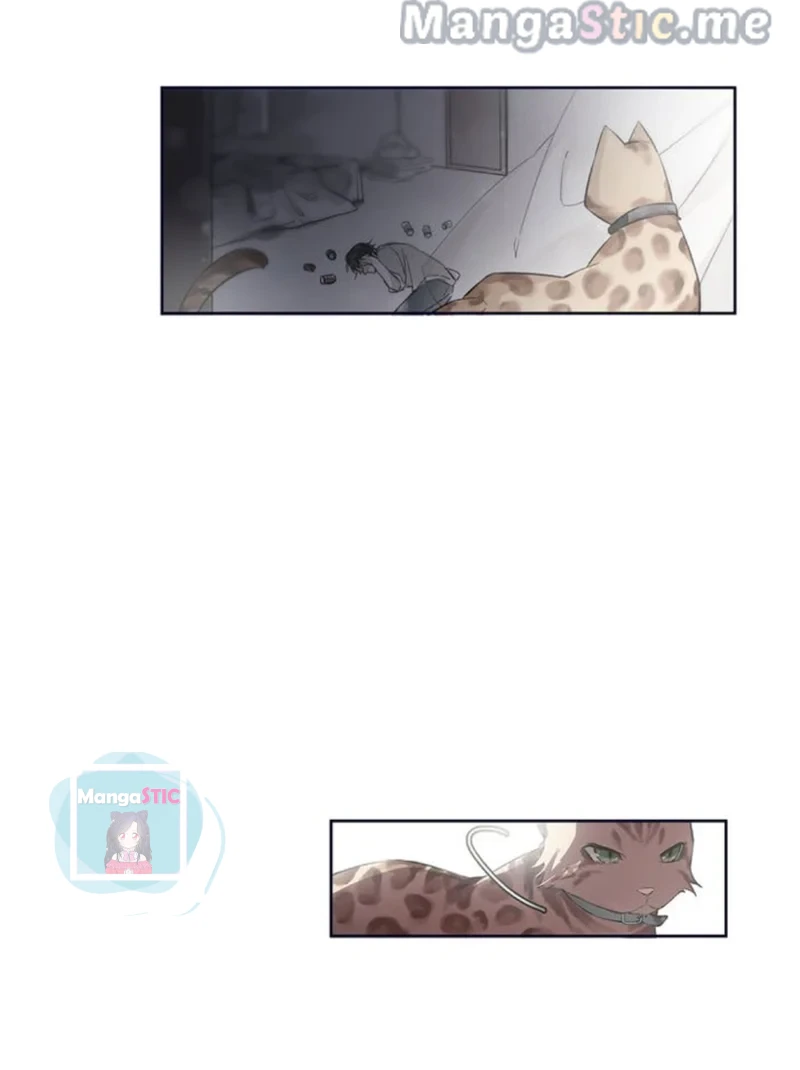 The Prince is a Cat Chapter 15 - page 15