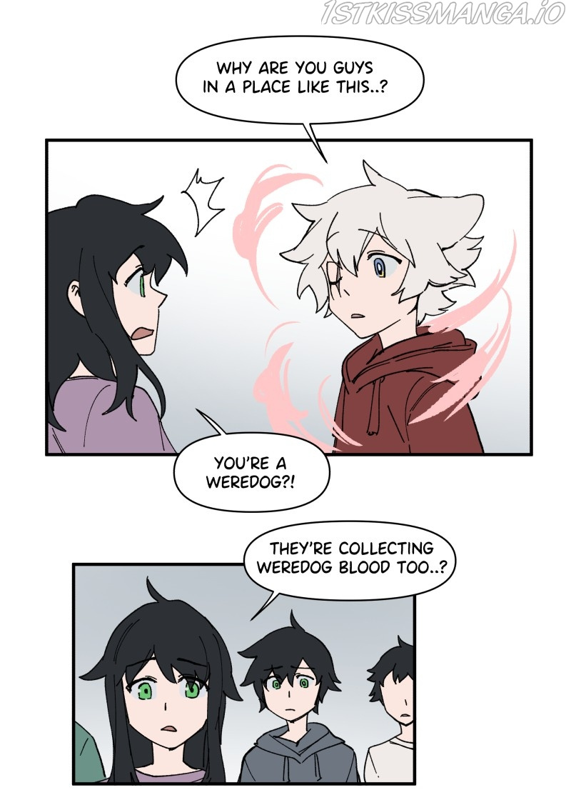 LUMINE - Manhwa chapter 161 - page 12