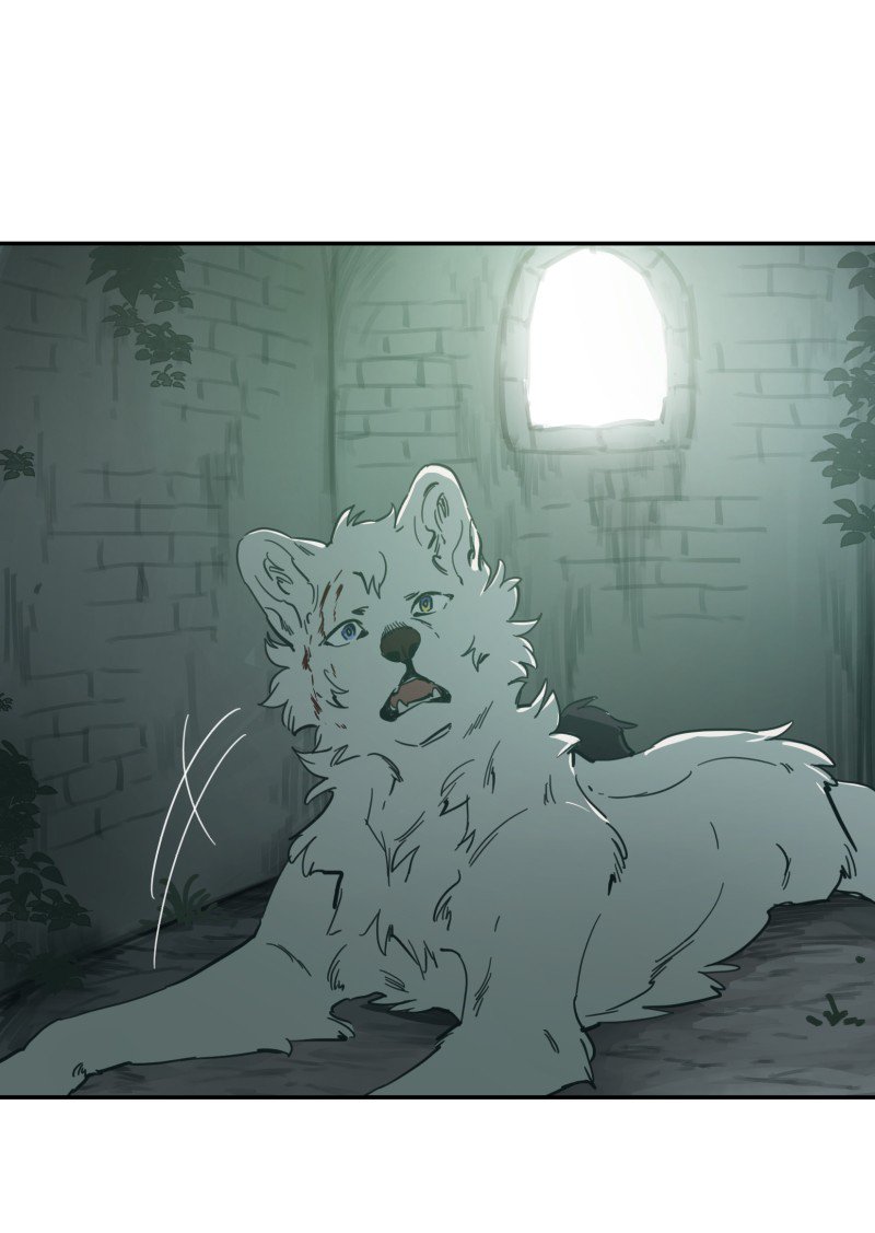 LUMINE - Manhwa chapter 85 - page 19